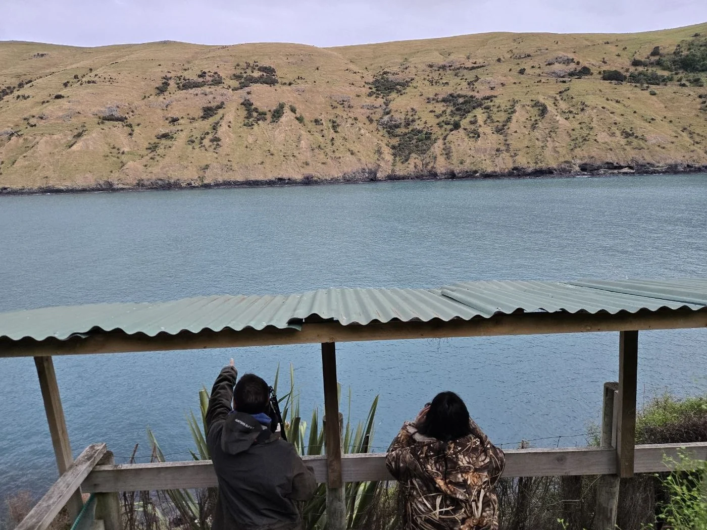 Two visitors looking out over the Pōhatu bay from a sheltered lookout